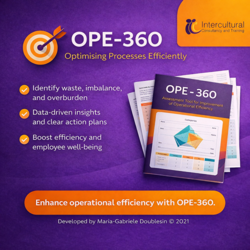 OPE-360© – Operational Performance & Efficiency Diagnostic